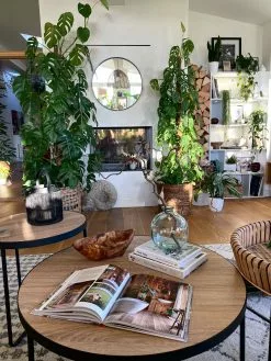 Beliani Sohvapöytä Iso Ja Keskikokoinen Vaalea Puu/musta 2 Kpl MELODY 13 Beliani Sohvapöytä Iso Ja Keskikokoinen Vaalea Puu/musta 2 Kpl MELODY -Käsinojalliset tuolit Winkel undef src sa picid 820867 type whitesh image