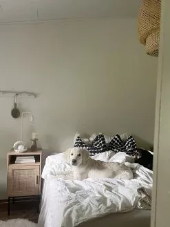 Beliani Yöpöytä Rottinki Kaappi Vaalea Puu PASCO -Käsinojalliset tuolit Winkel undef src sa picid 827479 type whitesh image