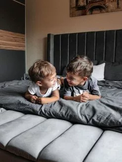 Beliani Sänky Sametti Säilytystila Harmaa NOYERS Useita Kokoja -Käsinojalliset tuolit Winkel undef src sa picid 828388 type whitesh image